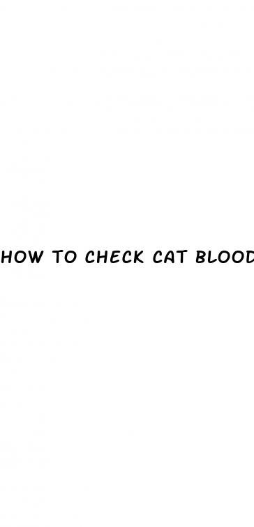 how to check cat blood sugar