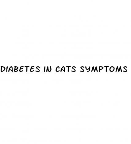diabetes in cats symptoms