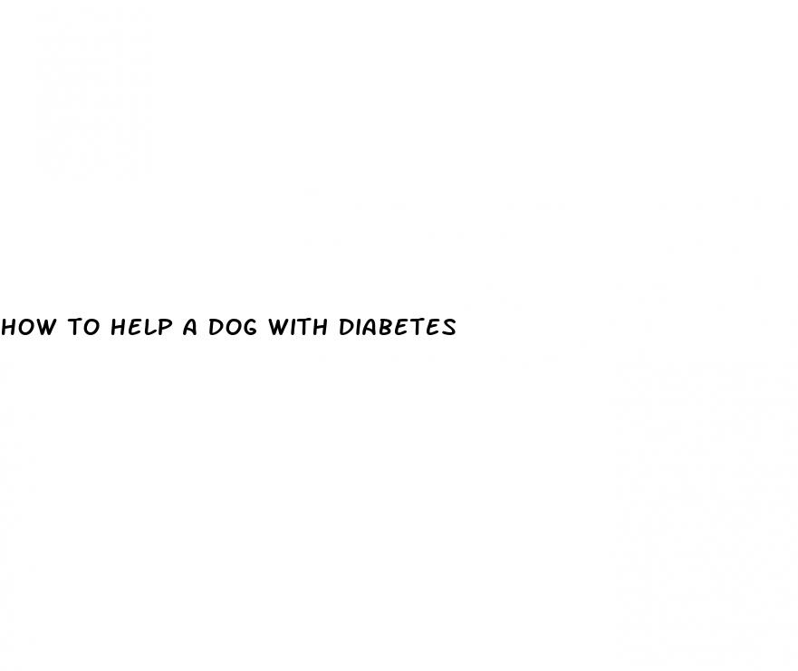 how to help a dog with diabetes