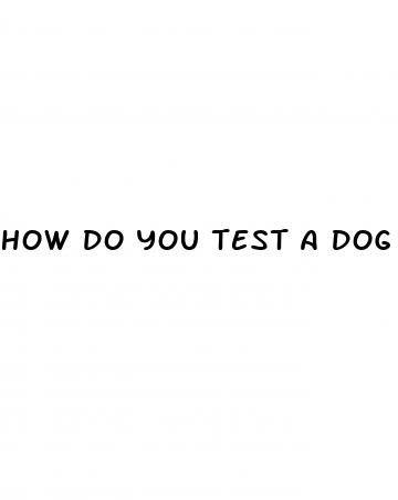 how do you test a dog for diabetes