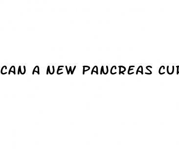 can a new pancreas cure diabetes