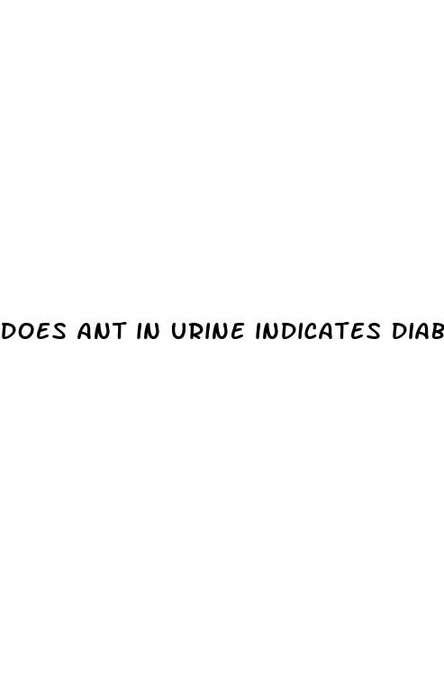 does ant in urine indicates diabetes