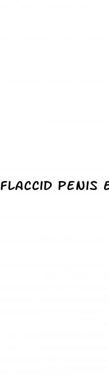 flaccid penis erection