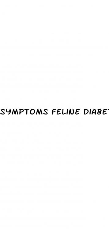 symptoms feline diabetes