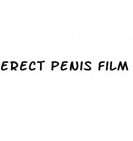 erect penis film