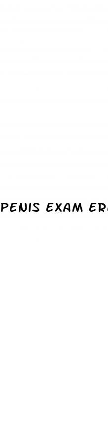penis exam erection